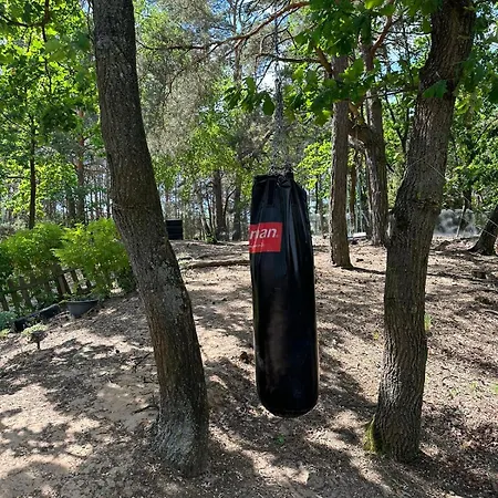 Dream Forest -dom W Lesie Pod Vakantiehuis *