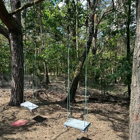 Dream Forest - Wiejska W Lesie *