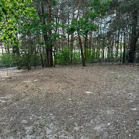 Dream Forest -dom W Lesie Pod