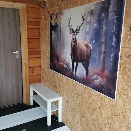 Dream Forest -dom W Lesie Pod Vakantiehuis *