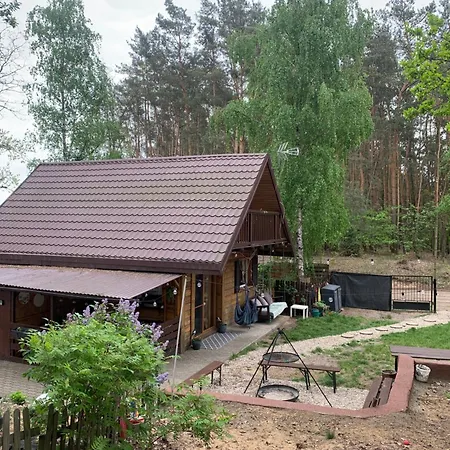 Vakantiehuis Dream Forest -dom W Lesie Pod *