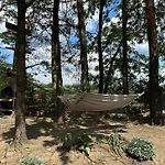 Dream Forest -dom W Lesie Pod