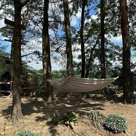 Dream Forest -dom W Lesie Pod